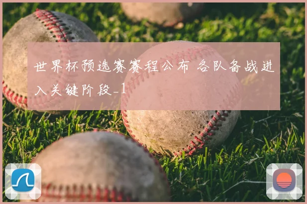 世界杯预选赛赛程公布 各队备战进入关键阶段_1