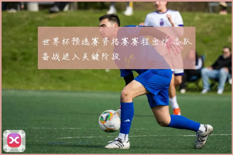 世界杯预选赛资格赛赛程出炉 各队备战进入关键阶段