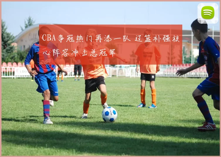 CBA争冠热门再添一队 辽篮补强核心阵容冲击总冠军